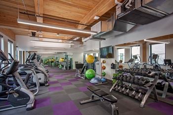 Modern fitness facilities